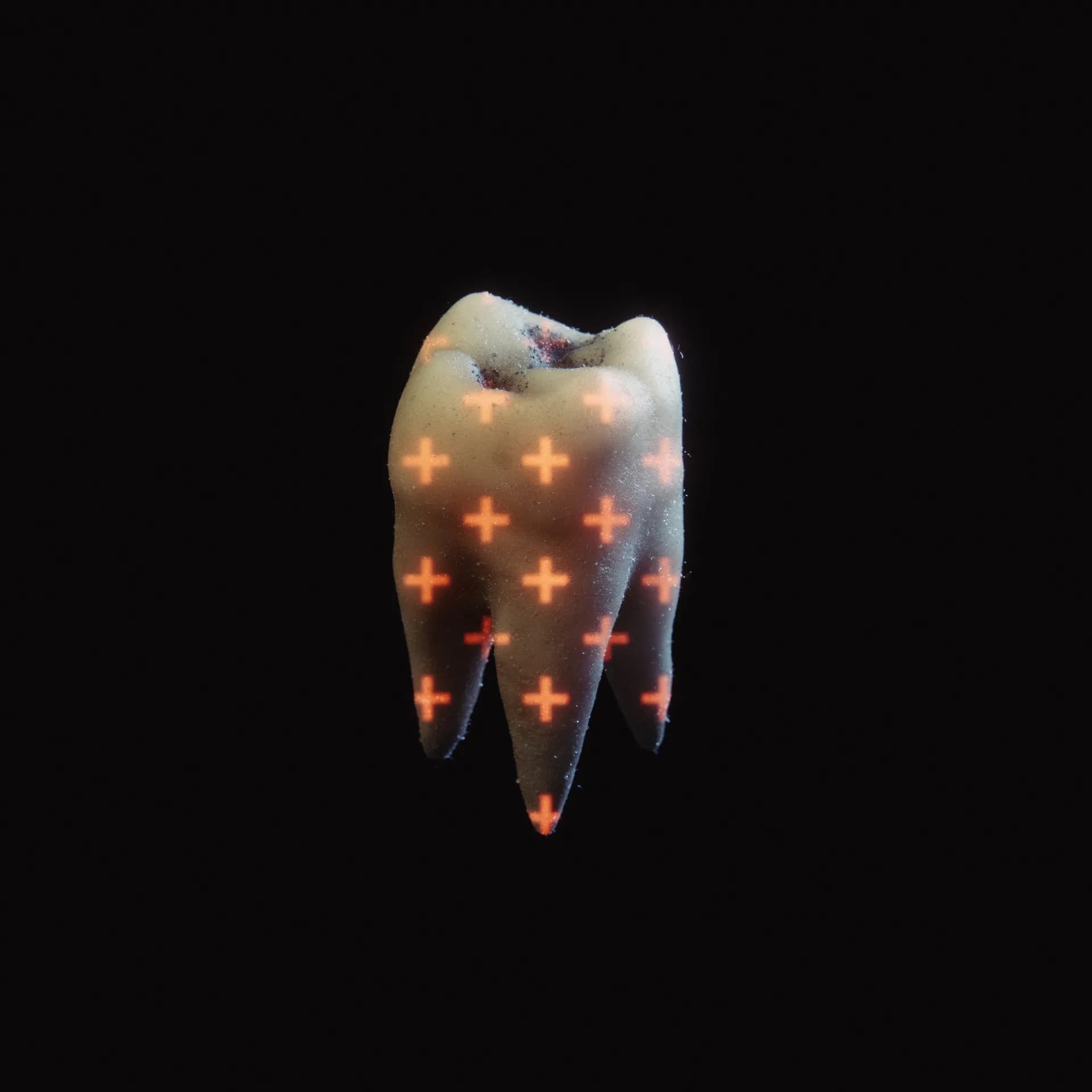 DELPHER 876 — teeth_post-WEB_001