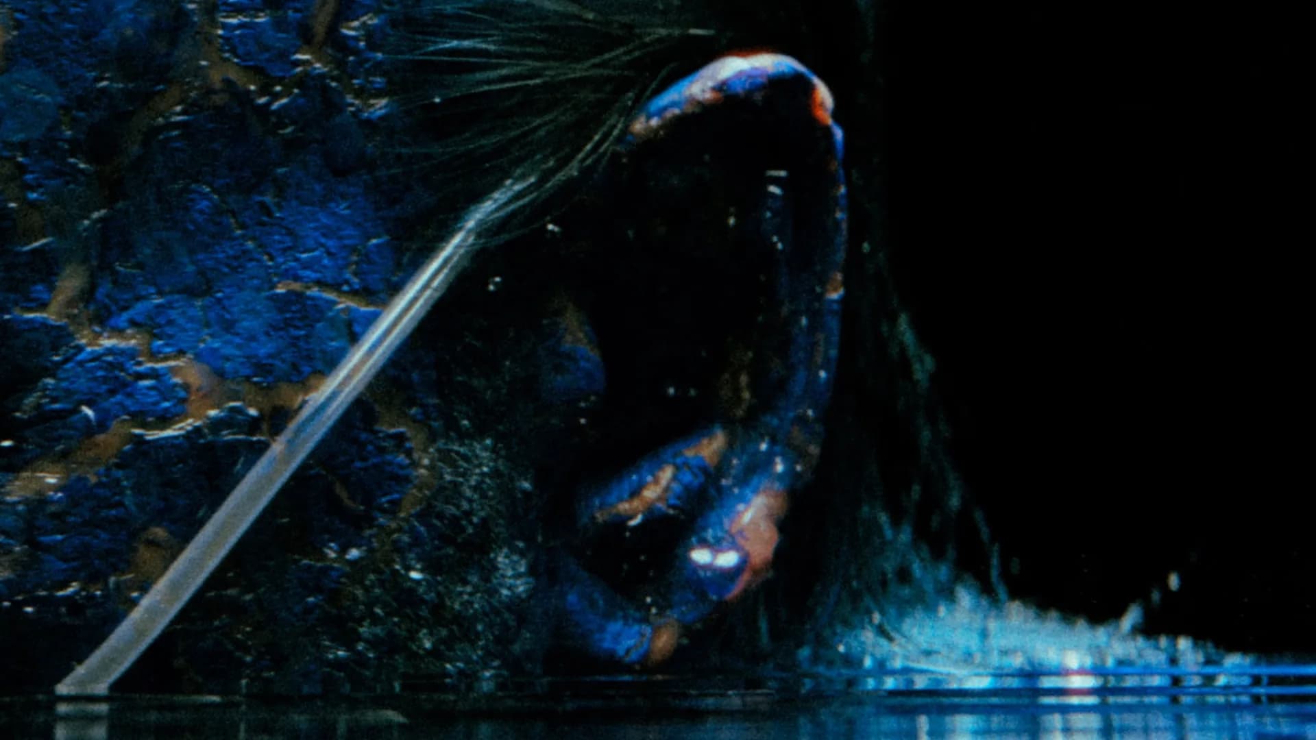 HEART BOY — waterstanding_crop_003